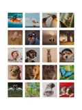 Hallmark 20 Pack Multi Cute Animal Design Blank Cards