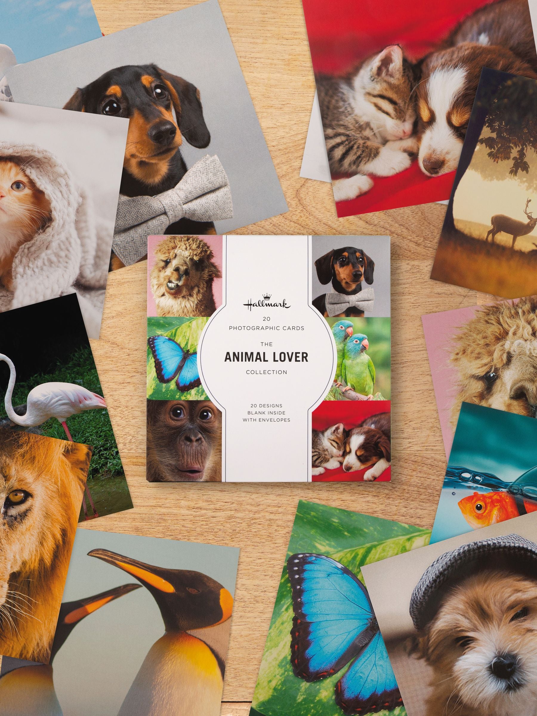Hallmark 20 Pack Multi Cute Animal Design Blank Cards