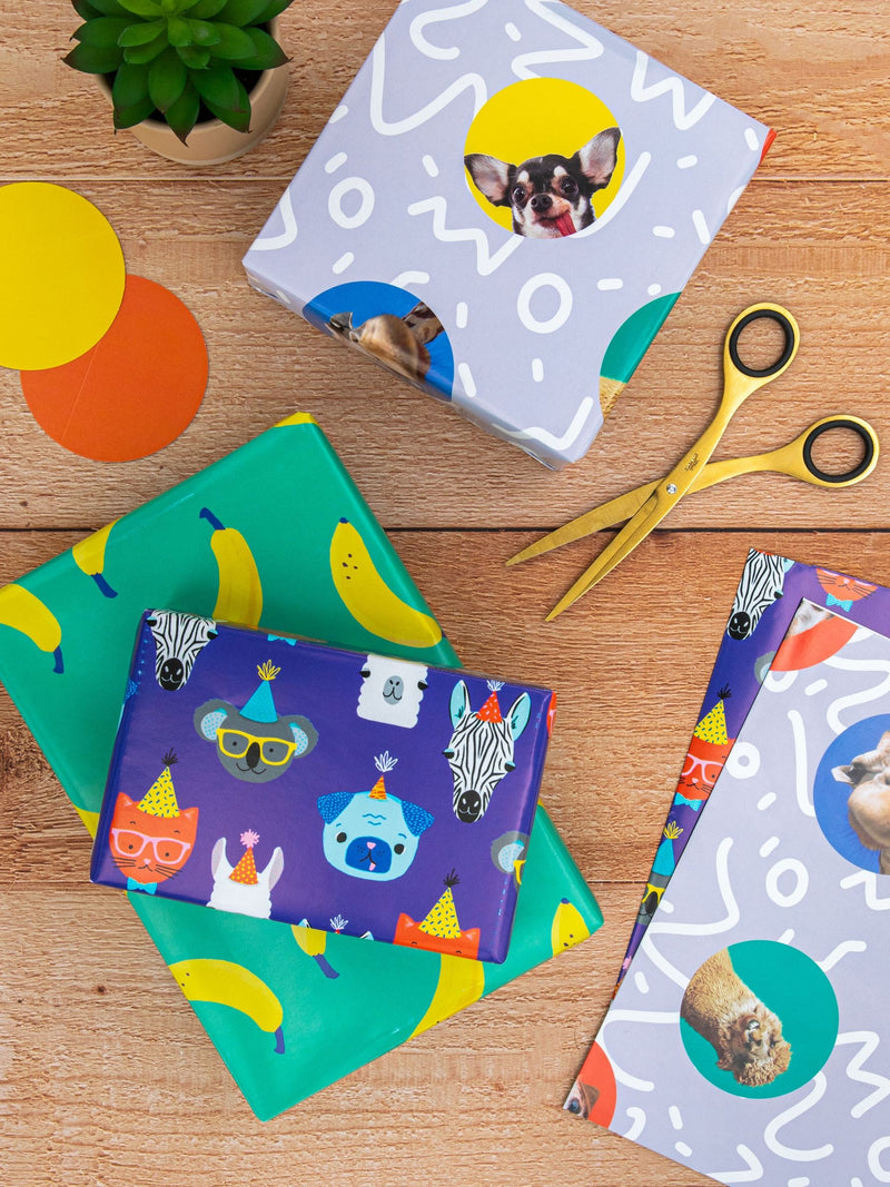 Hallmark Multi Gift Wrap 6 Sheets 6 Tags 3 Fun Designs Set