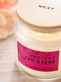 Apricot Blossom Mango & Mandarin mini candle 6cm - British product