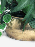 Artificial plant in metal bowl 40cm x 30cm x 52cm, UK version