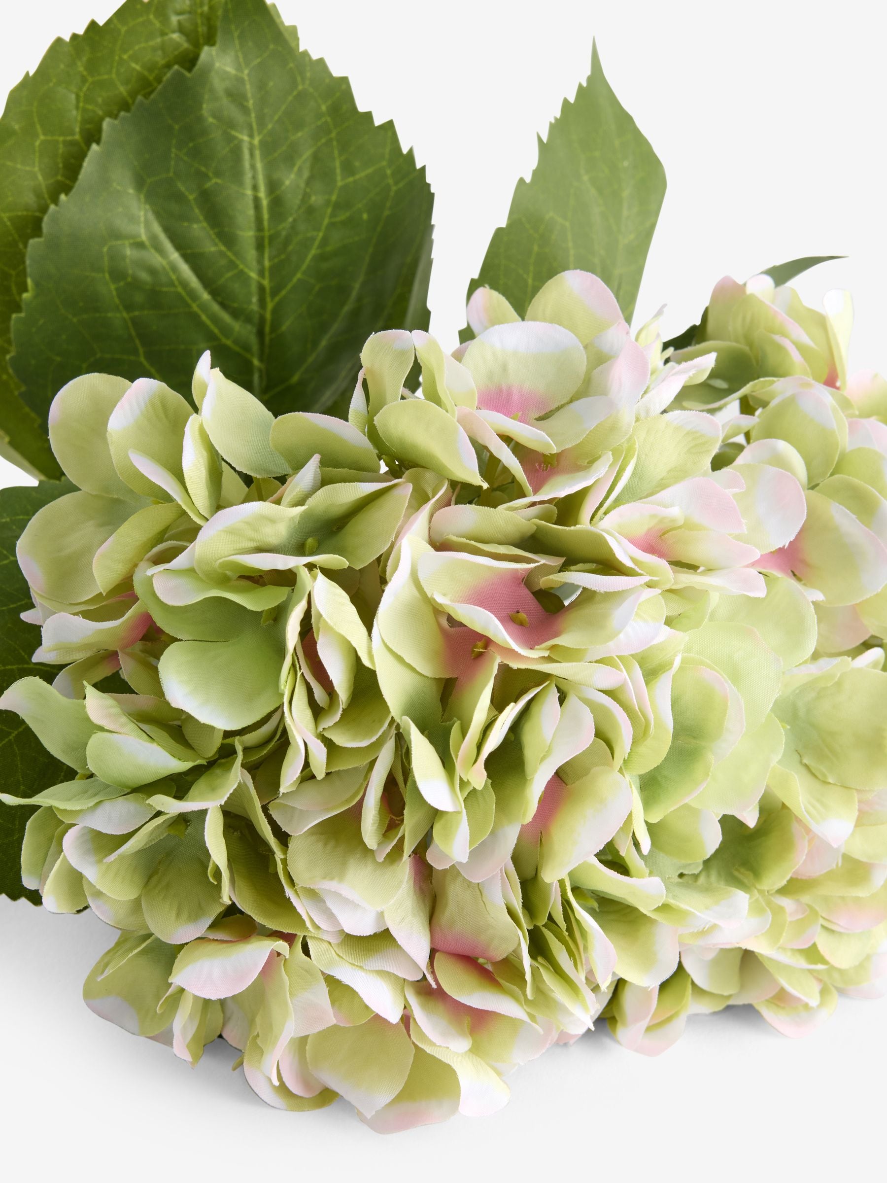 Green artificial hydrangea flower stems (2 pack), UK version