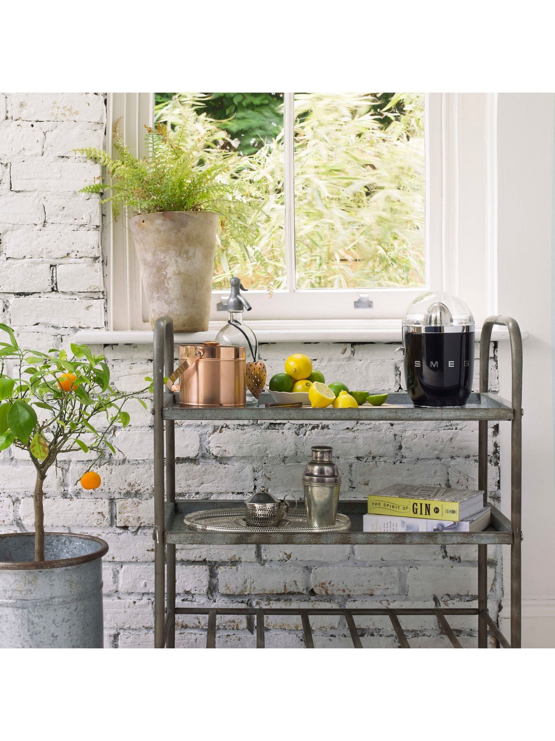 Smeg Black Citrus Juicer