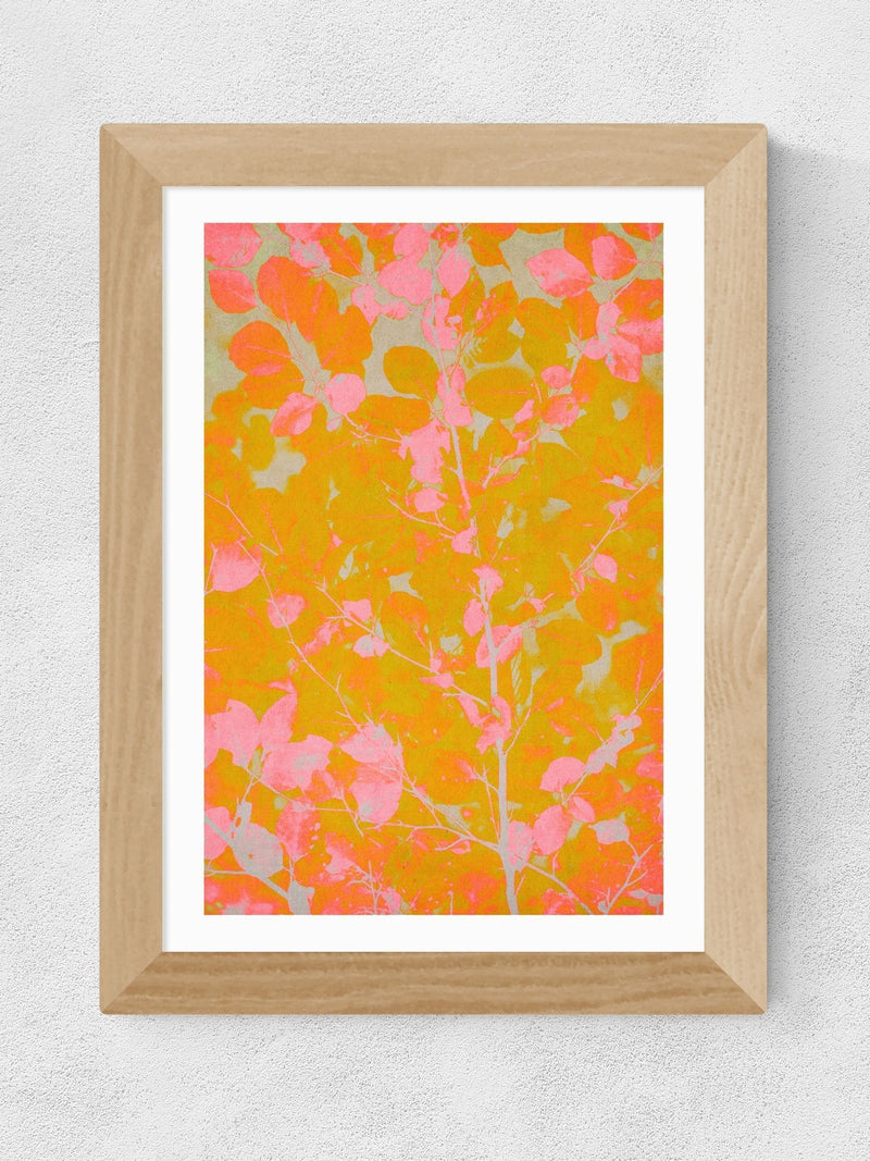 East End Prints Oak Colourful Autumn framed art print - British product