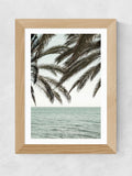 East End Prints Oak Solaris framed art print - British product