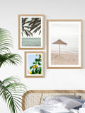 East End Prints Oak Solaris framed art print - British product