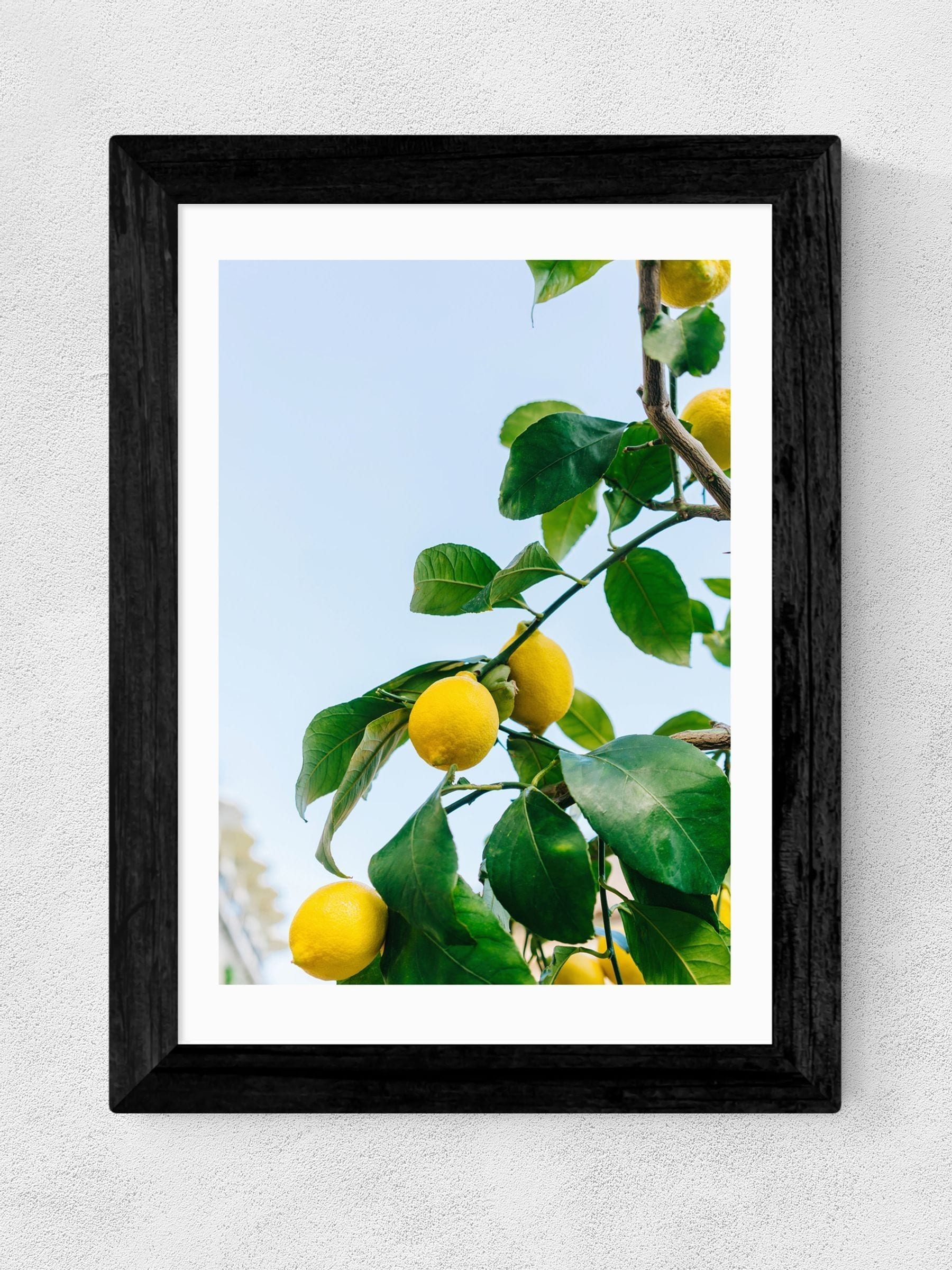 East End Prints Lemons framed art print - British product