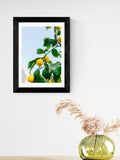 East End Prints Lemons framed art print - British product