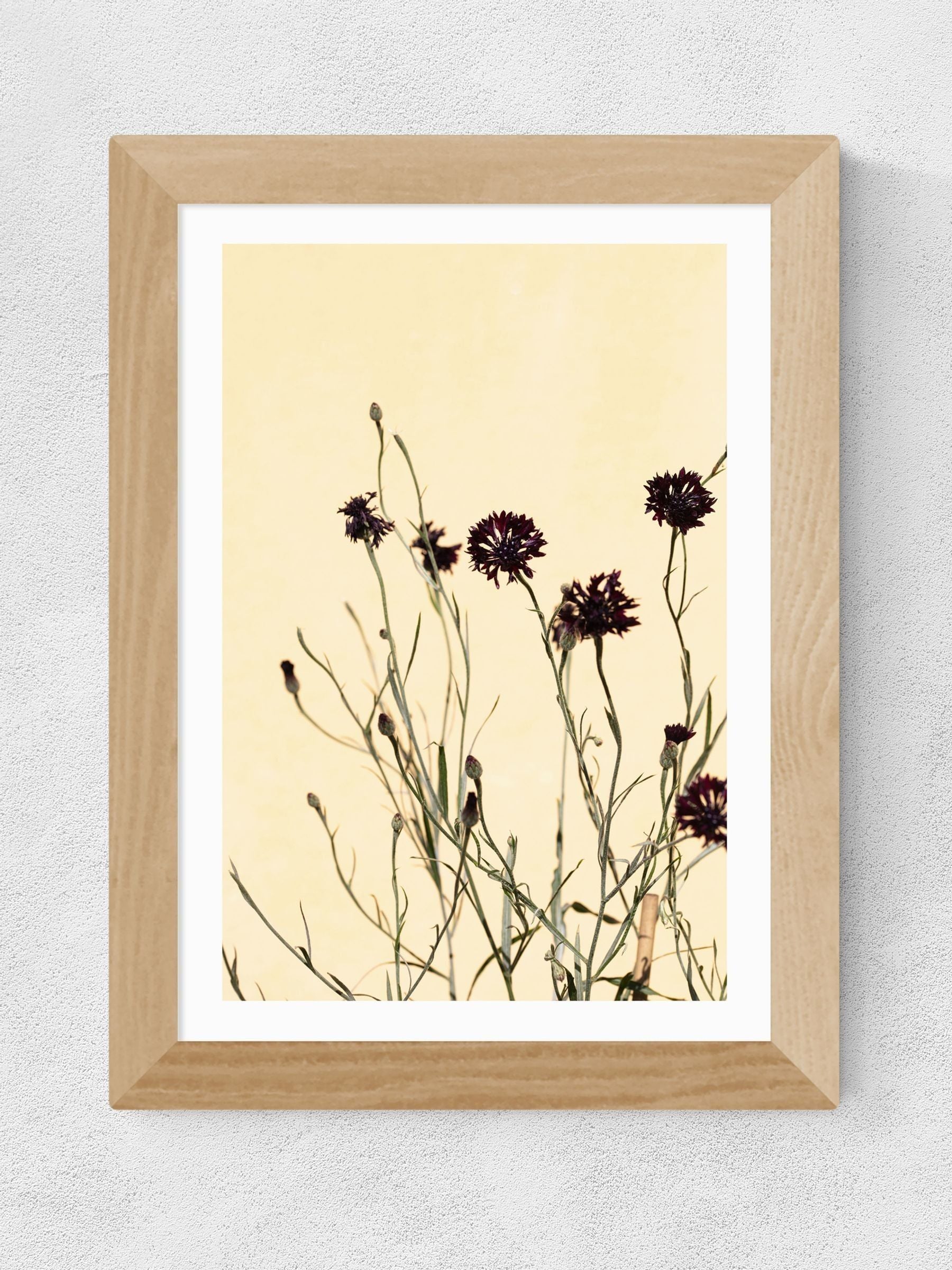 East End Prints oak withered flowers framed art print - British product