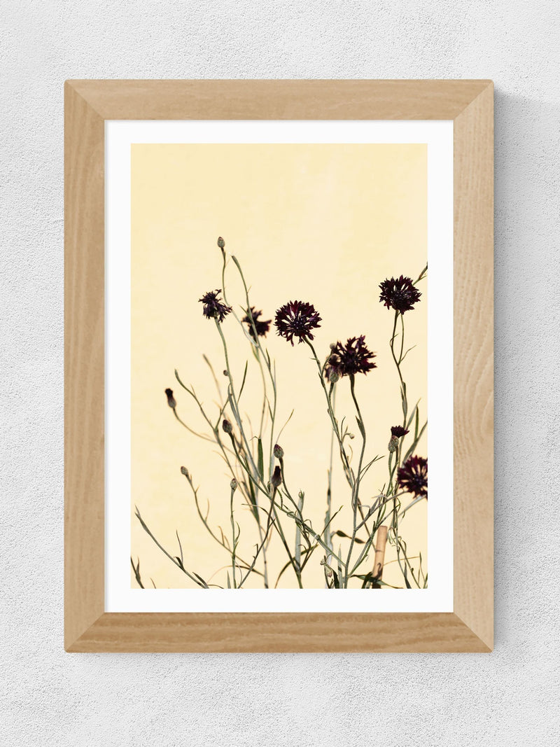 East End Prints oak withered flowers framed art print - British product