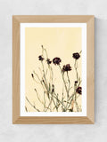 East End Prints oak withered flowers framed art print - British product