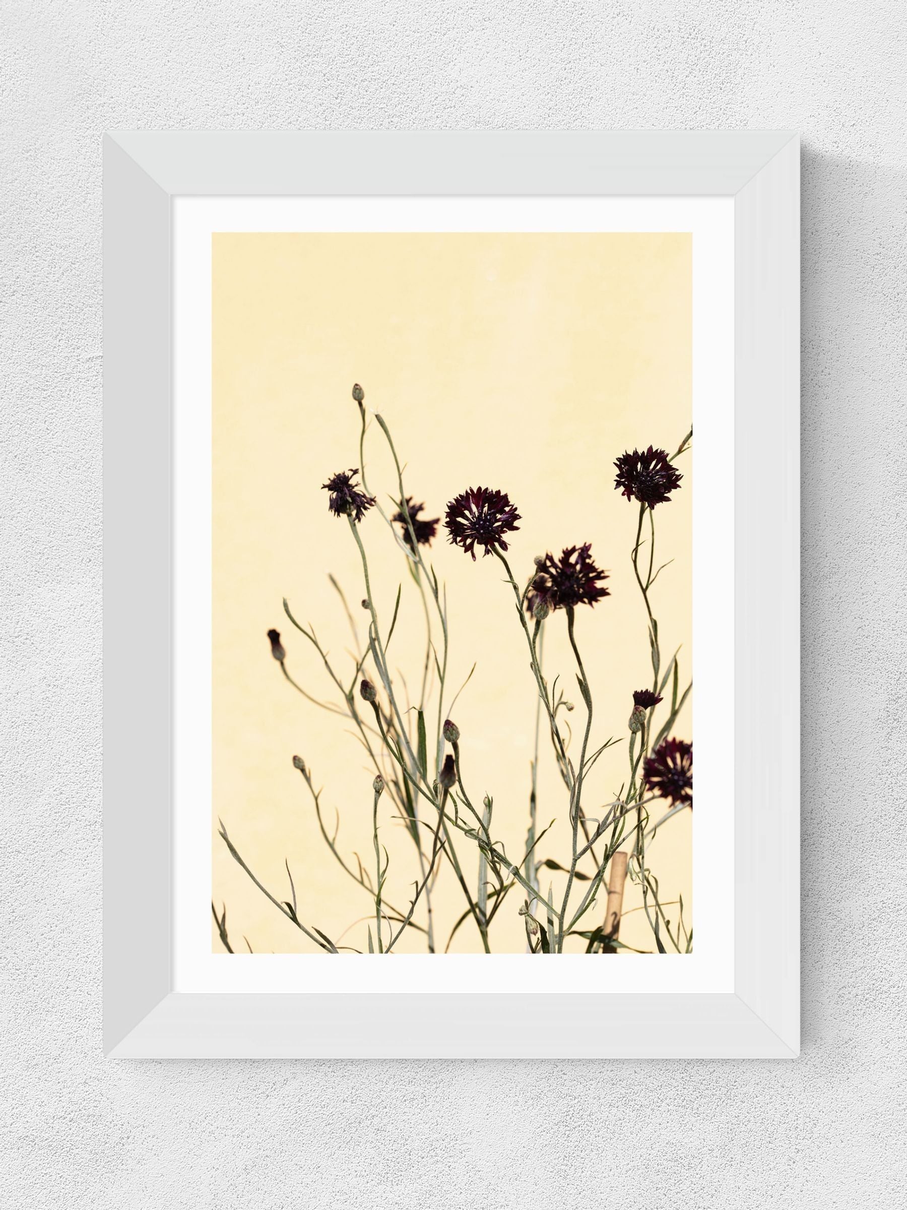 East End Prints white withered flowers framed art print - British product