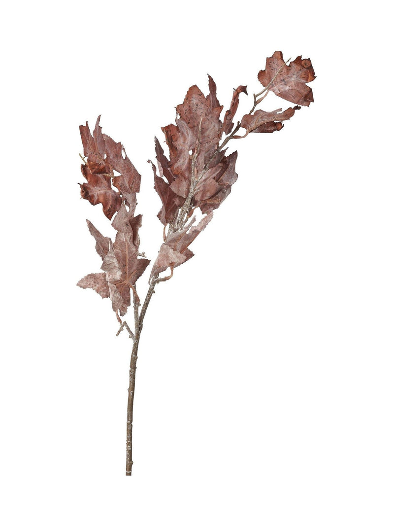 Pacific Lifestyle Mulberry Dried Flower Bunch 109cm, imported from the UK