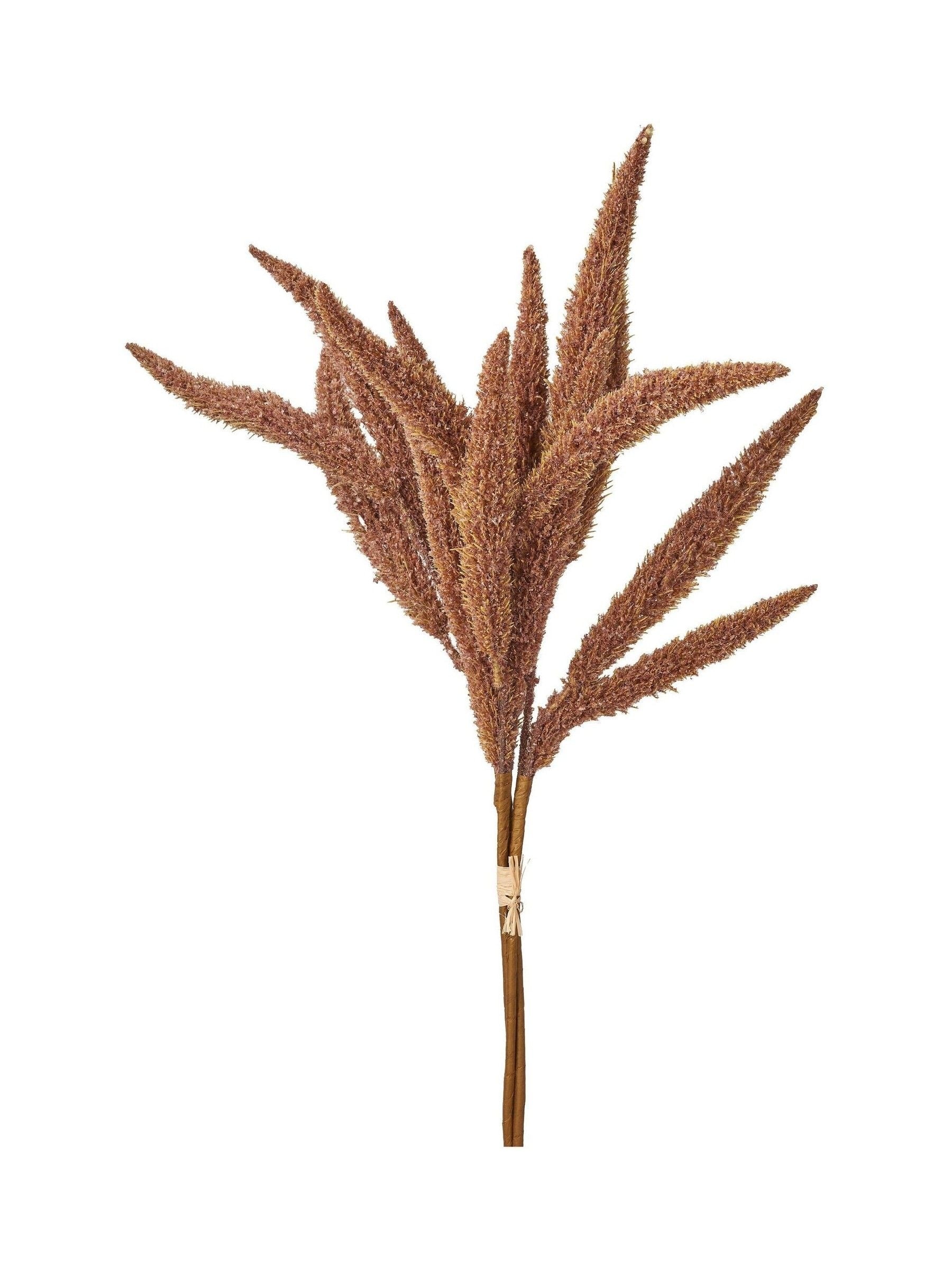 Pacific Lifestyle Mulberry Dried Flower Bunch 109cm, imported from the UK