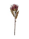 Pacific Lifestyle Mulberry Dried Flower Bunch 109cm, imported from the UK
