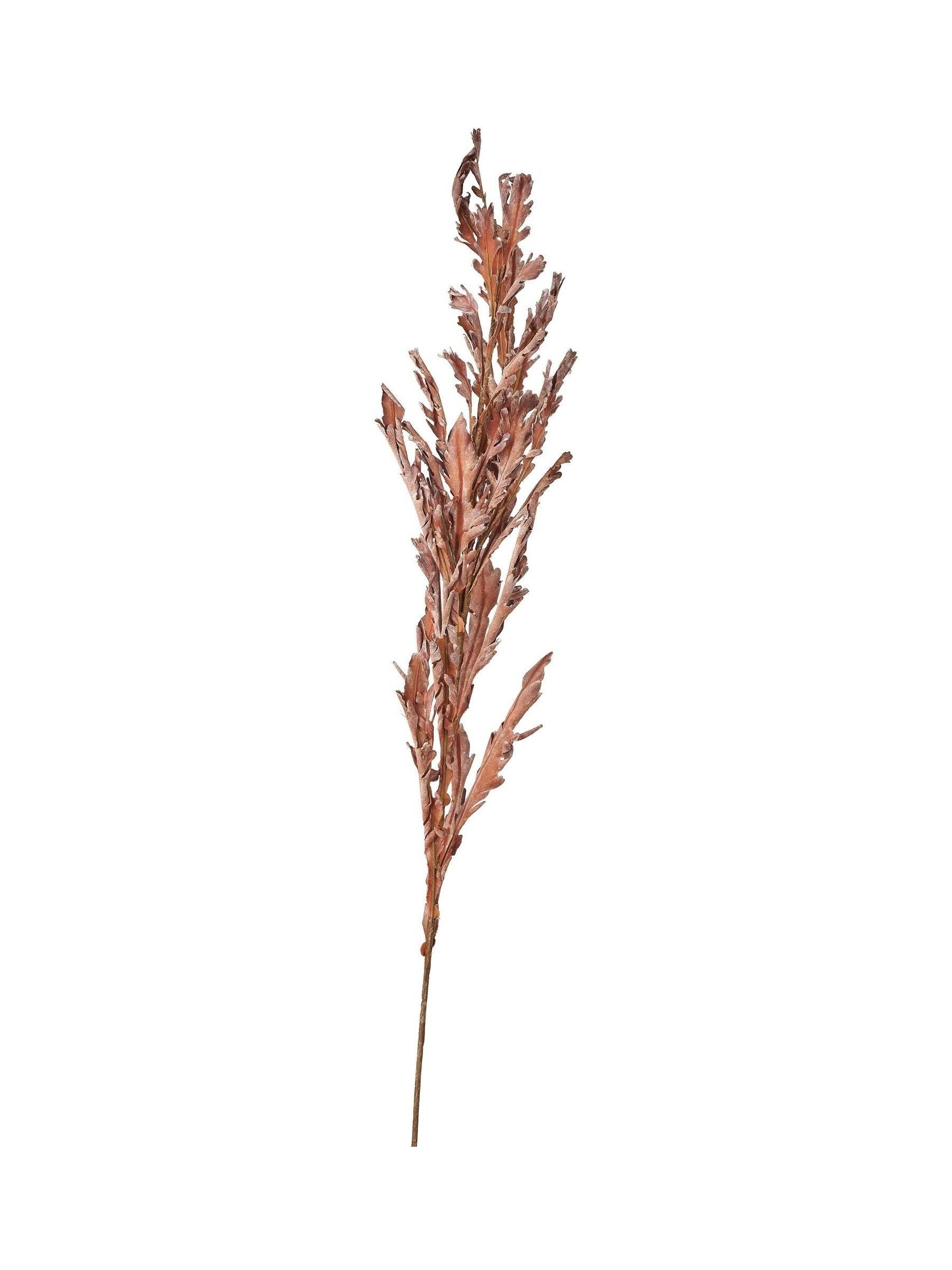 Pacific Lifestyle Mulberry Dried Flower Bunch 109cm, imported from the UK