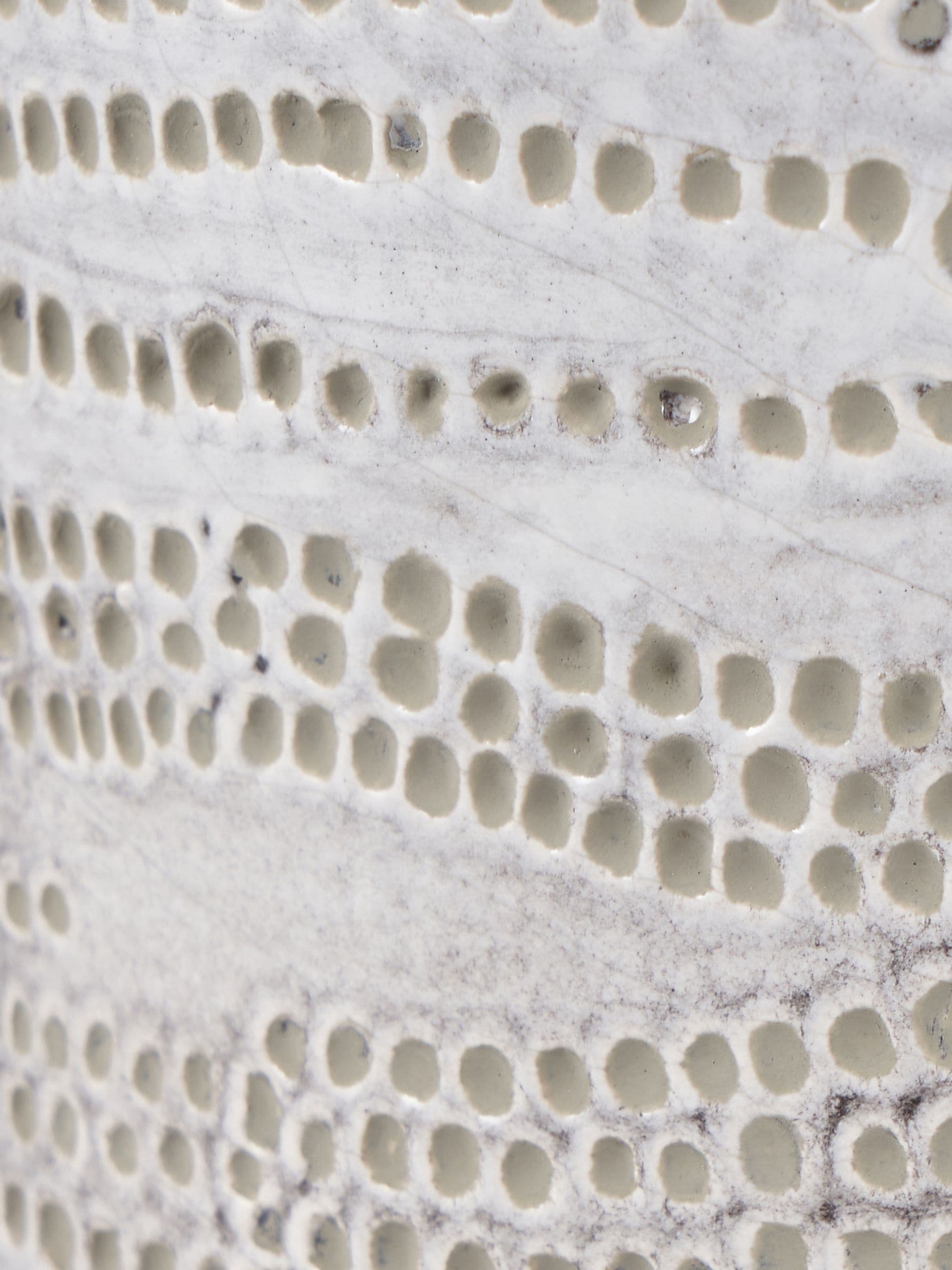 Pacific Lifestyle White Stoneware Dot Design Tall Vase