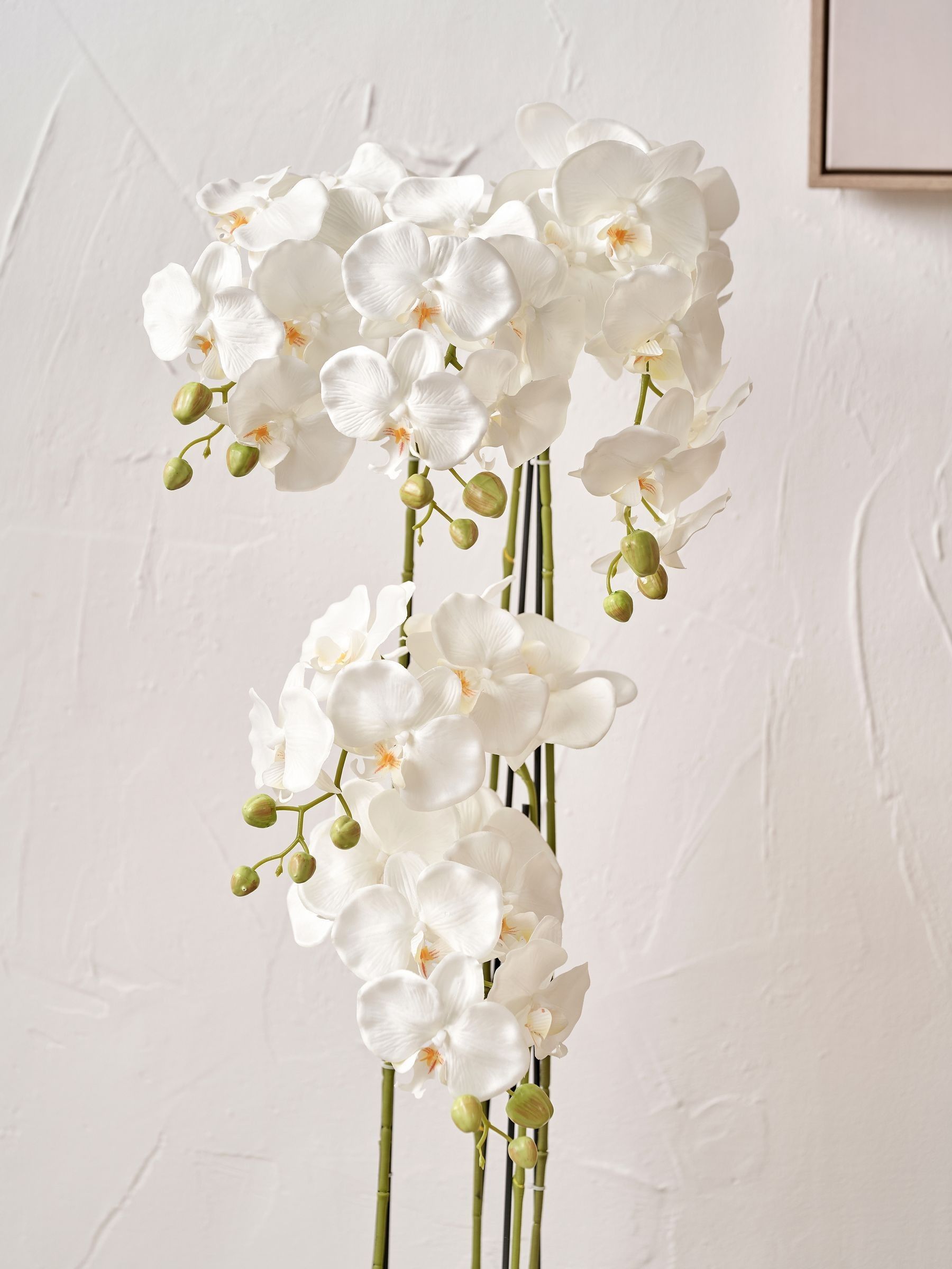 Pacific Lifestyle Green Tall White Orchid in Large Pot