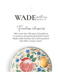Wade Capri multi-coloured dinner plates set of 4 28cm (British brand)