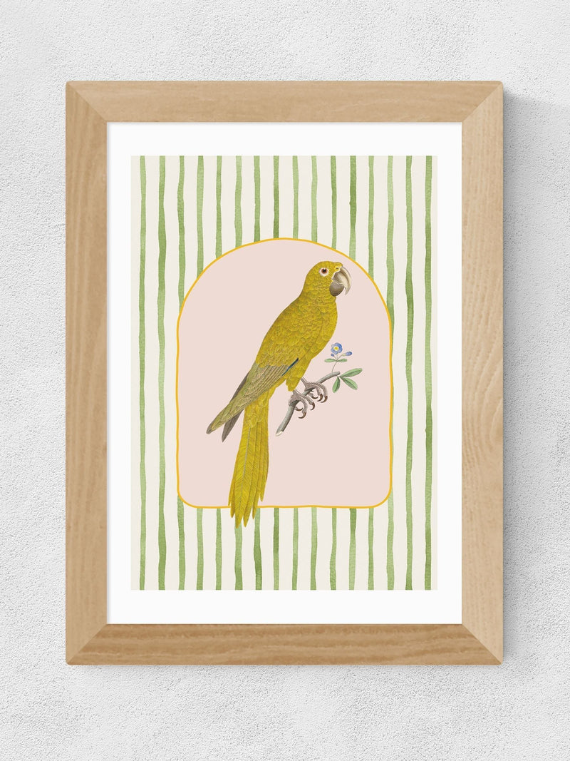 East End Prints Oak Eccentric Parrot wall art print - British product