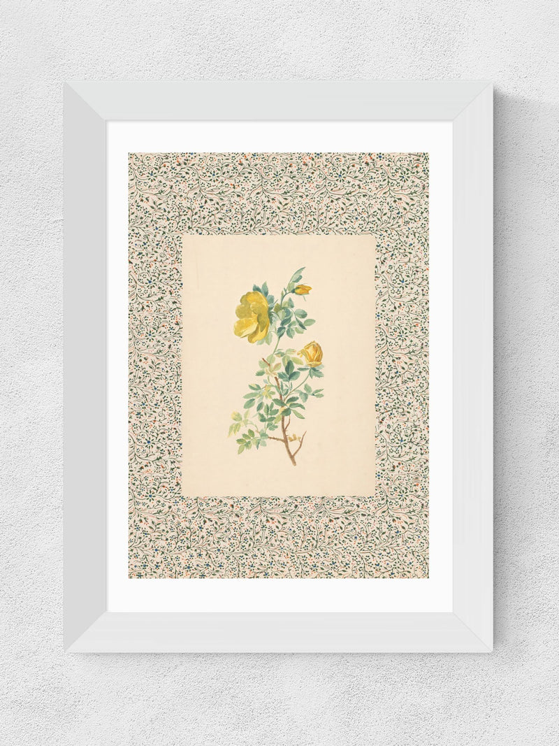 East End Prints White Charming Roses Wall Art Print by Oh Fine! Art