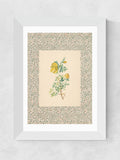 East End Prints White Charming Roses Wall Art Print by Oh Fine! Art