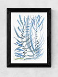 East End Prints black blue seaweed I wall art print - British product