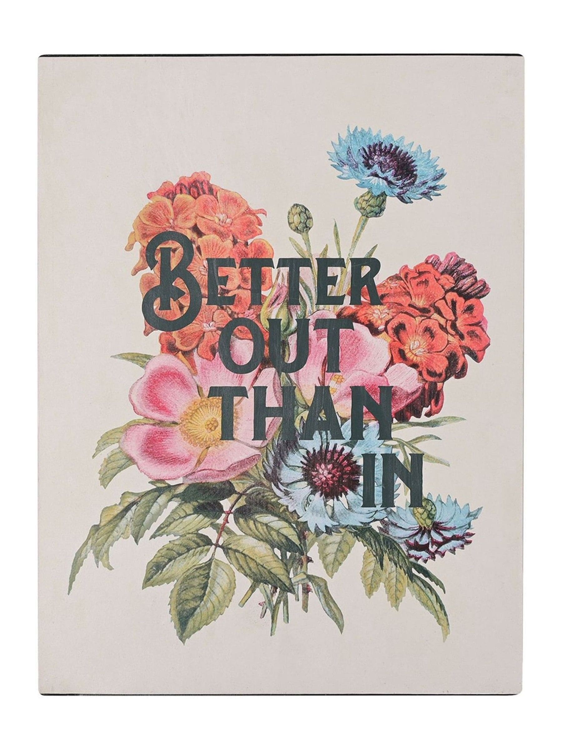 Country Living Better Out Than In wall plaque 40x30cm - British product