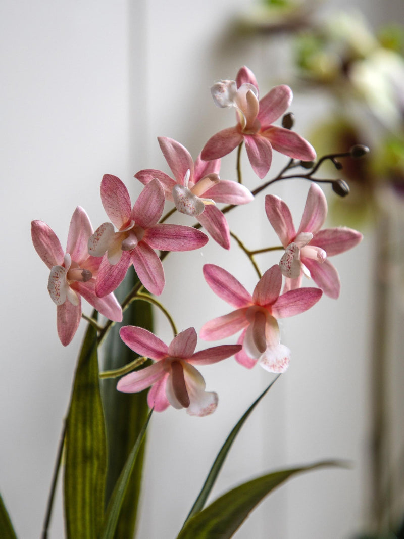 Gallery Home pink faux orchid in ceramic dot pot 40cm, UK version