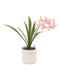 Gallery Home pink faux orchid in ceramic dot pot 40cm, UK version