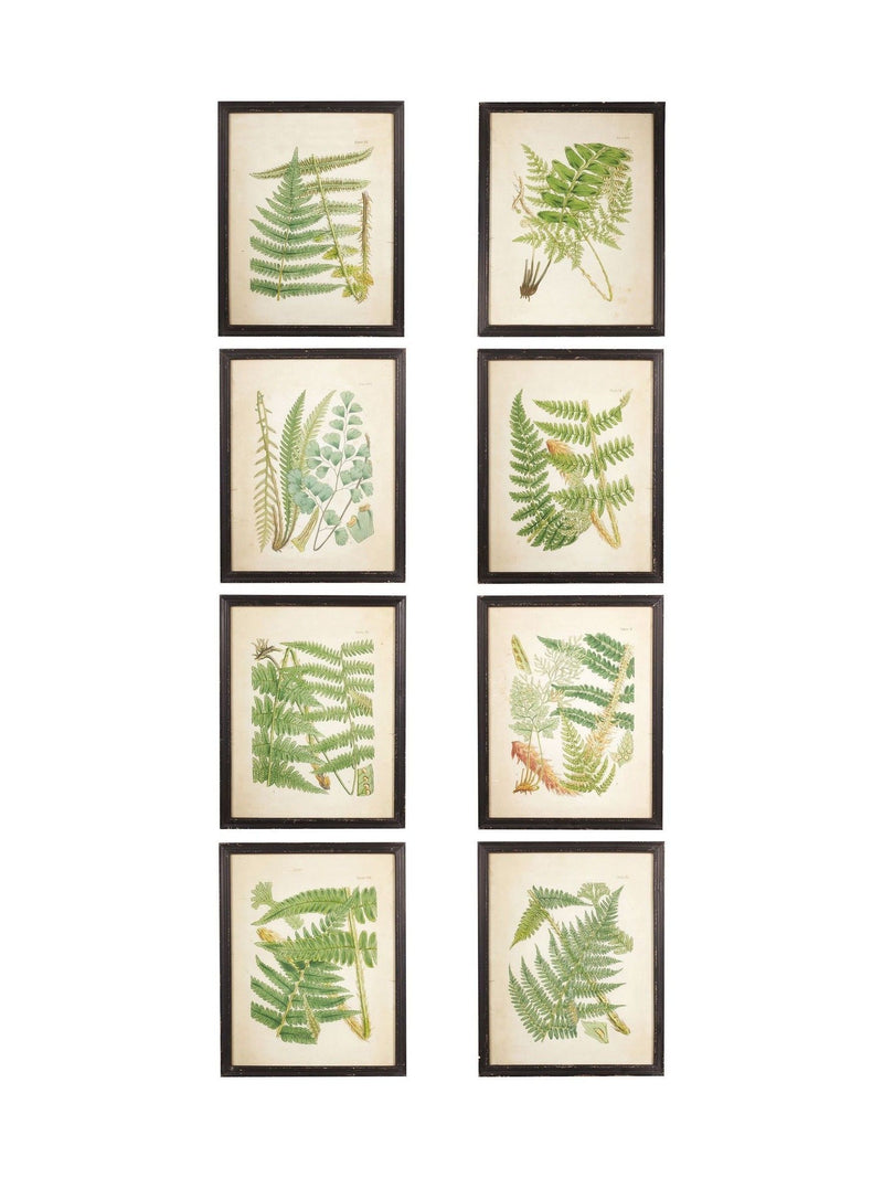 Oka Set of 8 Green Framed Botanical Prints