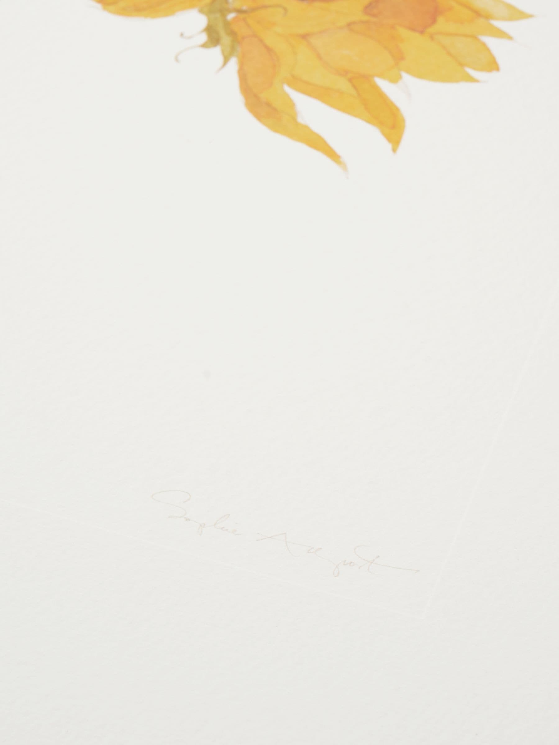 Sophie Allport off white sunflower watercolour print 40cm x 30cm (British brand)