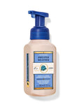 Moisturising Antibacterial Foam Hand Soap 259ml