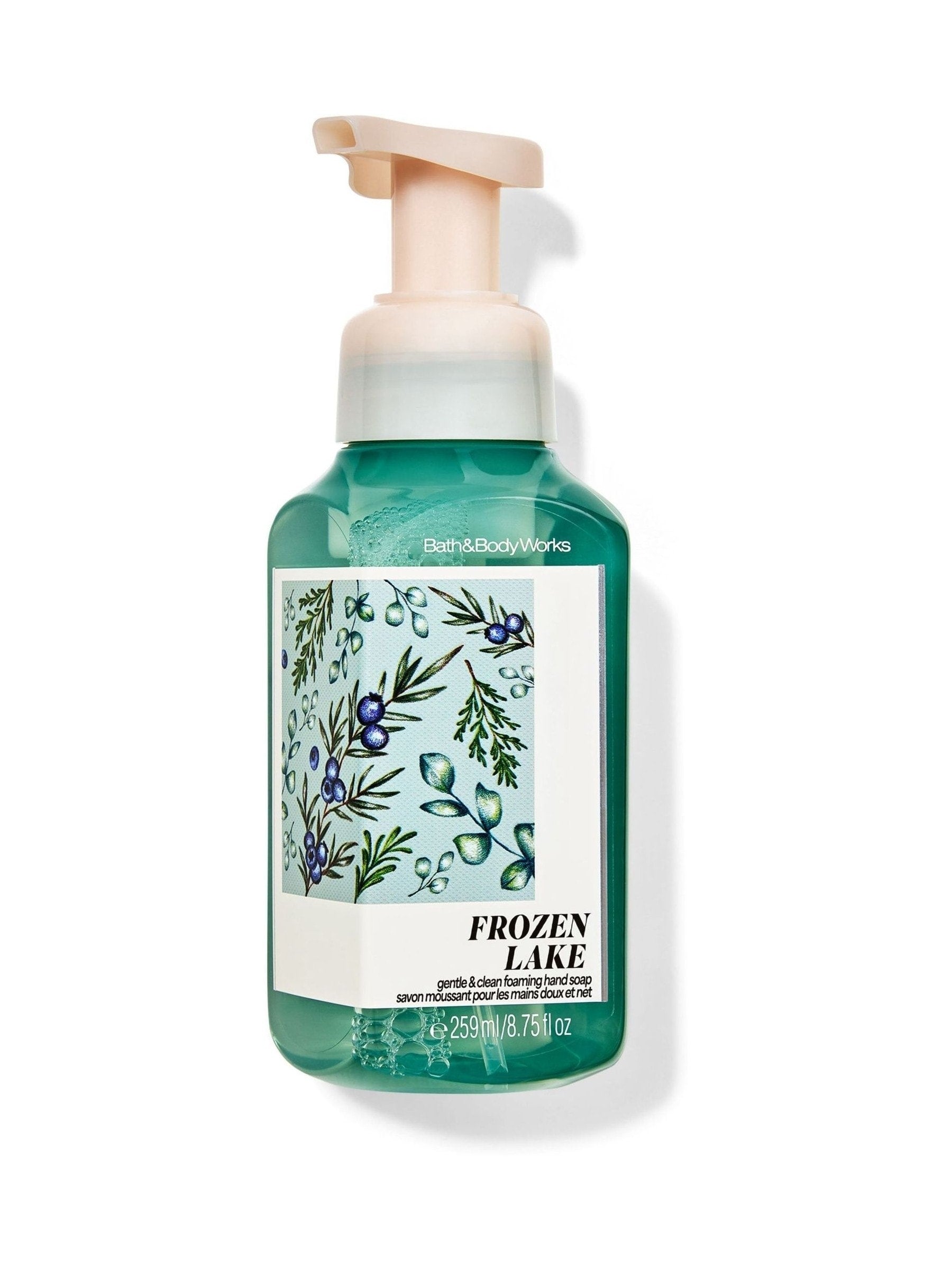 Moisturising Foam Hand Soap with Vitamin E, Shea Extract, and Aloe, 259 ml