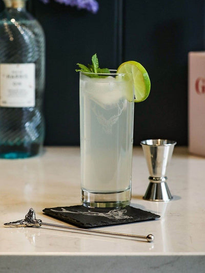 Selbrae House Klar Sølv Hjort Highball Drikkesett
