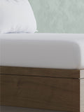 Panda pure white bamboo fitted sheet, imported from the UK