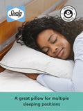 Sealy Set of 2 Anti Allergy 4 Pack Pillows