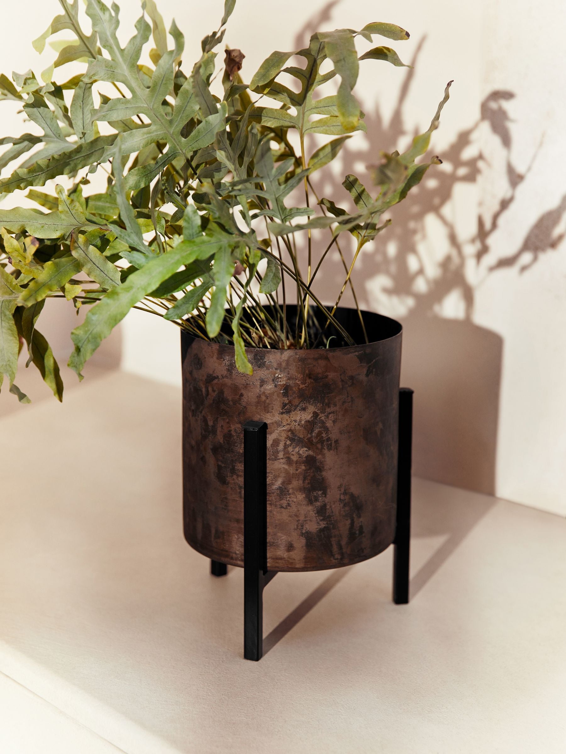 French Connection metal plant pot black bronze 19cm x 33cm, UK version