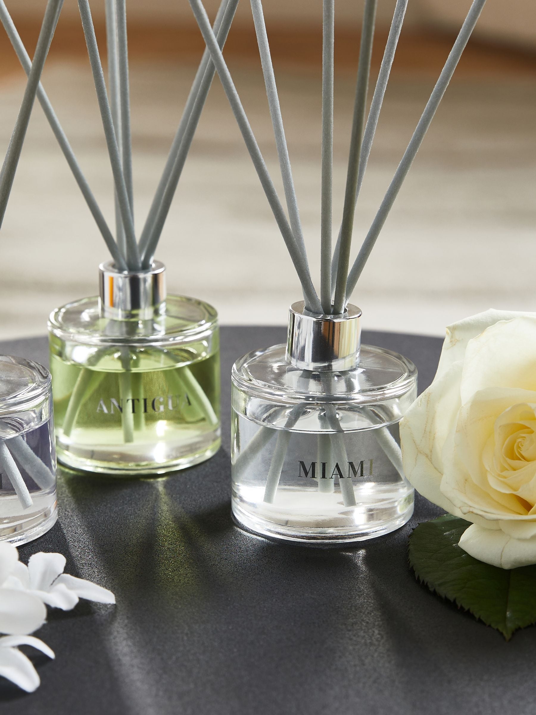 Collection Luxe Antigua Diffuser Gift Set