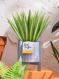 Hallmark Green Little Hello 3D Pop Up Spider Plant Card, UK version
