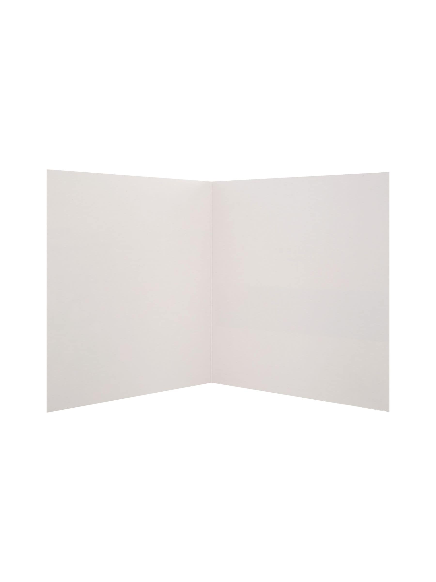Hallmark Blue 20 Pack Scenic Photographic Blank Cards