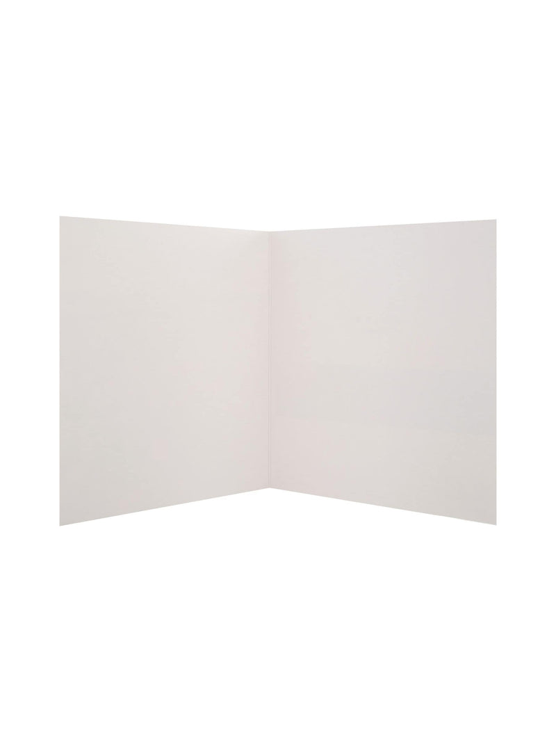 Hallmark Blue 20 Pack Scenic Photographic Blank Cards