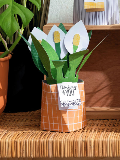 Hallmark Green Thinking of You Card 3D Pop Up Peace Lily Greeting Card