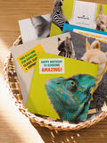Hallmark Birthday Cards with 5 Funny Animal Designs 10 Pack, UK version