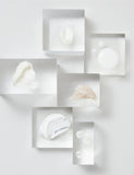 Formula Prevent & Brighten Hydrating Cleanser 190ml, imported from the UK