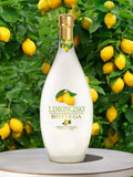 LeBonVin Cream Limoncino Liqueur 500ml, UK version