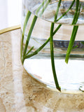Lipsy Clear Gold Trim Glass Vase