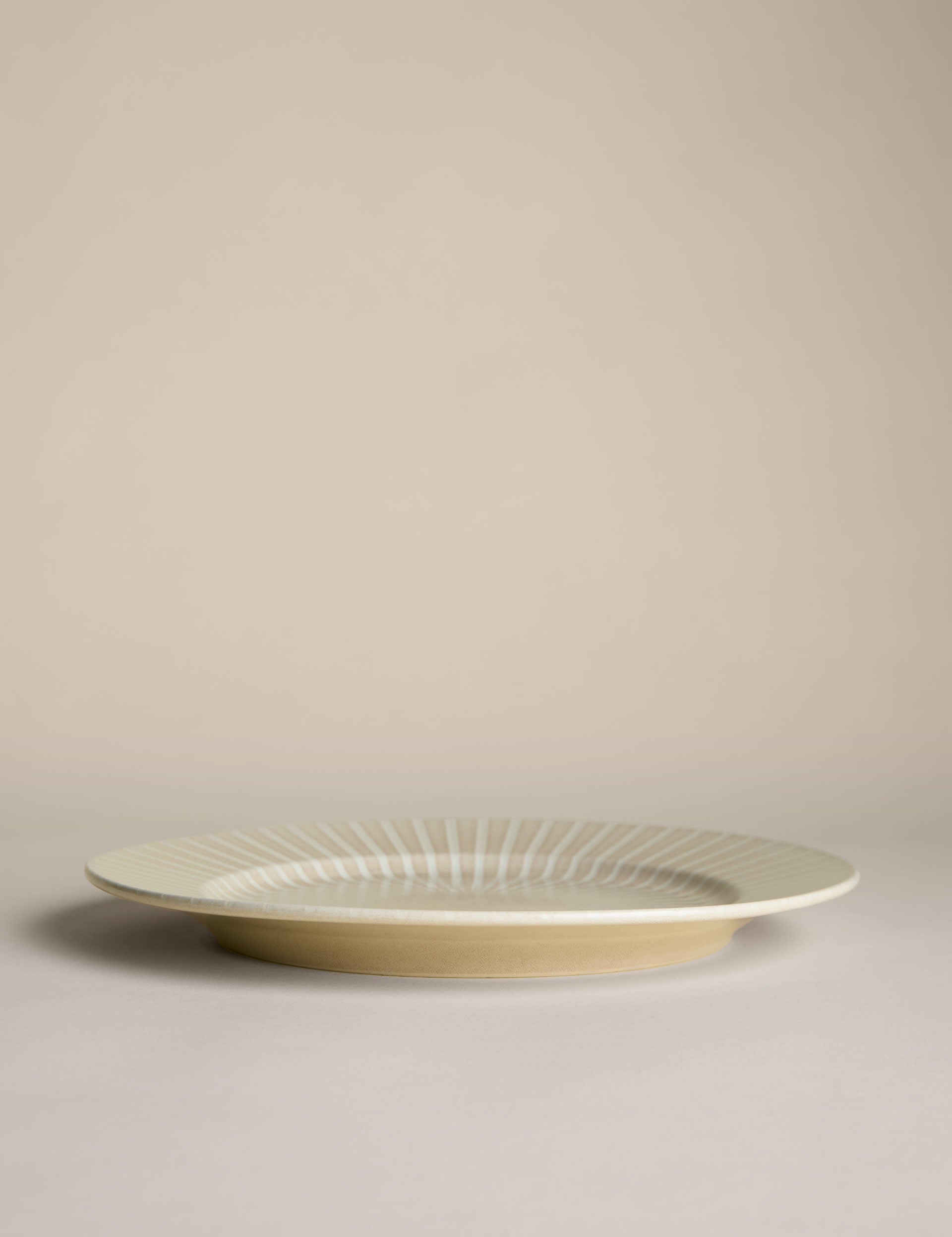 Reactive Stripe Dinner Plate