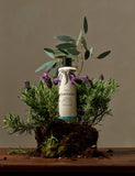Relax body lotion with lavender and eucalyptus oils 300ml, imported from the UK
