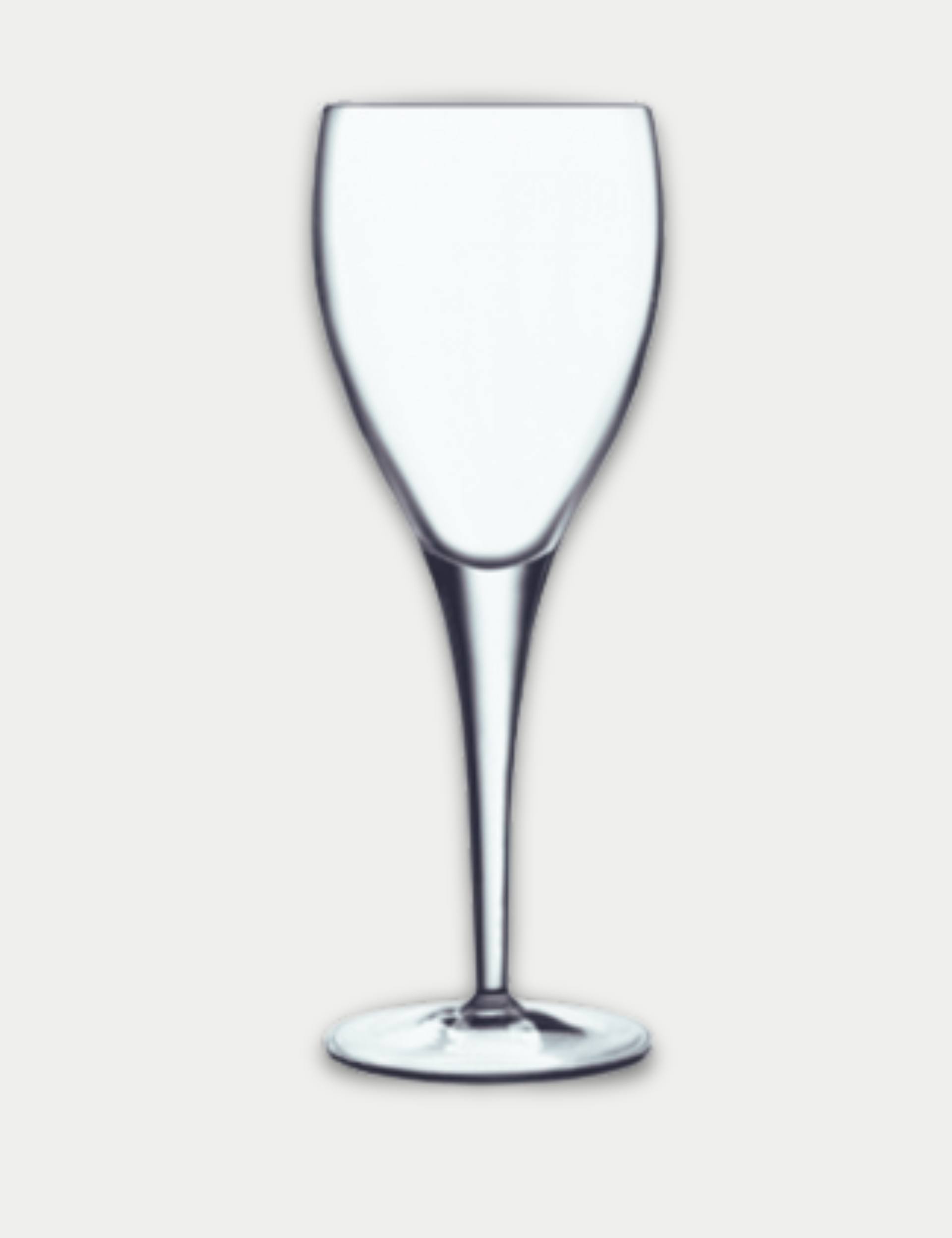 Luigi Bormioli Michelangelo wine glasses set of 4 (British brand)